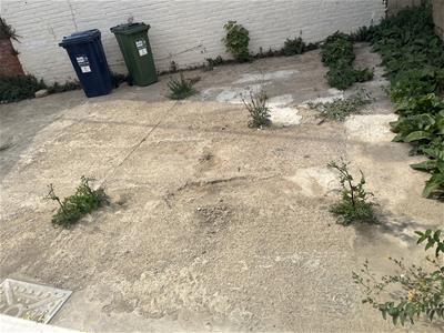 Picture 13